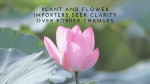 Plant and flower importers